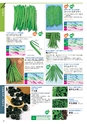 冬・春まき推奨品種カタログ